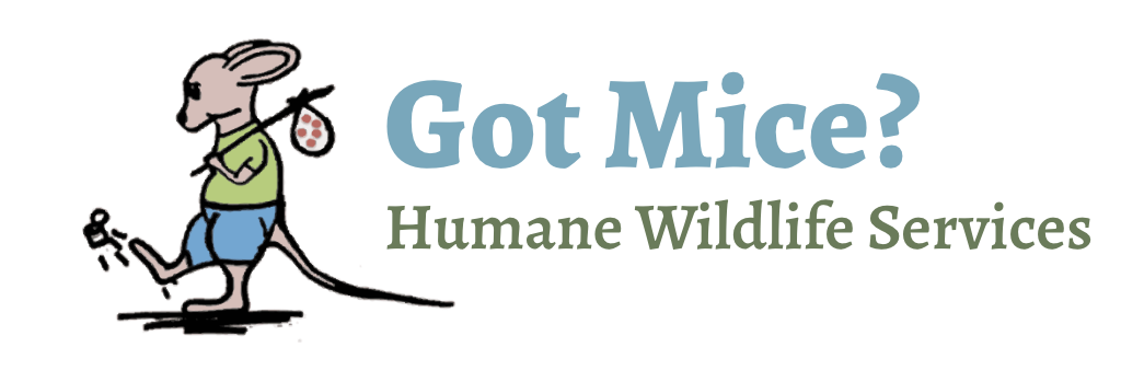 Got Mice Humane Wildlife Services